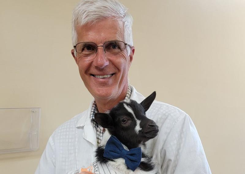 Carousel Slide 4: Shelby Goat Veterinarian